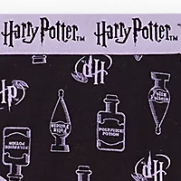 ❤️NWT VINTAGE TORRID HARRY POTTER HOGWARTS PANTY POTIONS HIPSTER -  PLUS SIZE - Picture 2 of 9